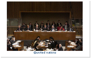 Text Box:  
united nations
