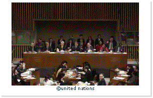 Text Box:  
united nations
