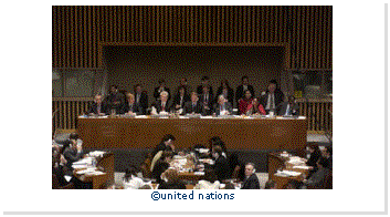 Text Box:  
united nations
